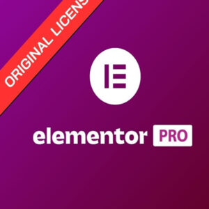Elementor Pro Plugin for WordPress development work