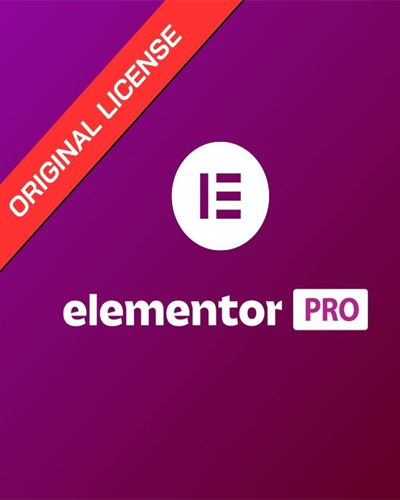 Elementor Pro Plugin for WordPress development work